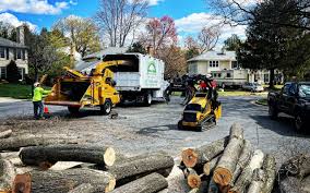Best Lawn Disease Treatment  in Lumber City, GA