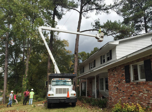 Best Soil Testing and Treatment  in Lumber City, GA